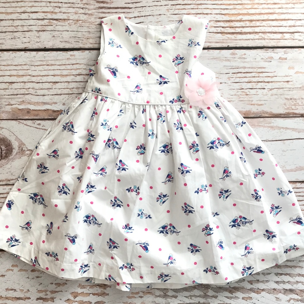 Pumpkin Patch Girl Dress 18-24 month